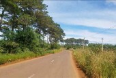 Lô đất ở khu tái định cư huyện Dak Glong, tỉnh Dak Nông cần bán.